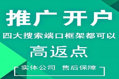 百度推广的精准营销案例解析